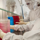 Image for article titled If You Can't Get an Organ, an Organoid Might Do